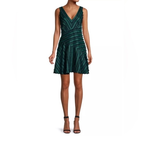 Rebecca Taylor Dresses & Skirts - Rebecca Taylor Forest Green Eyelash Striped Skater Skirt Mini Dress-Size 4 NWT